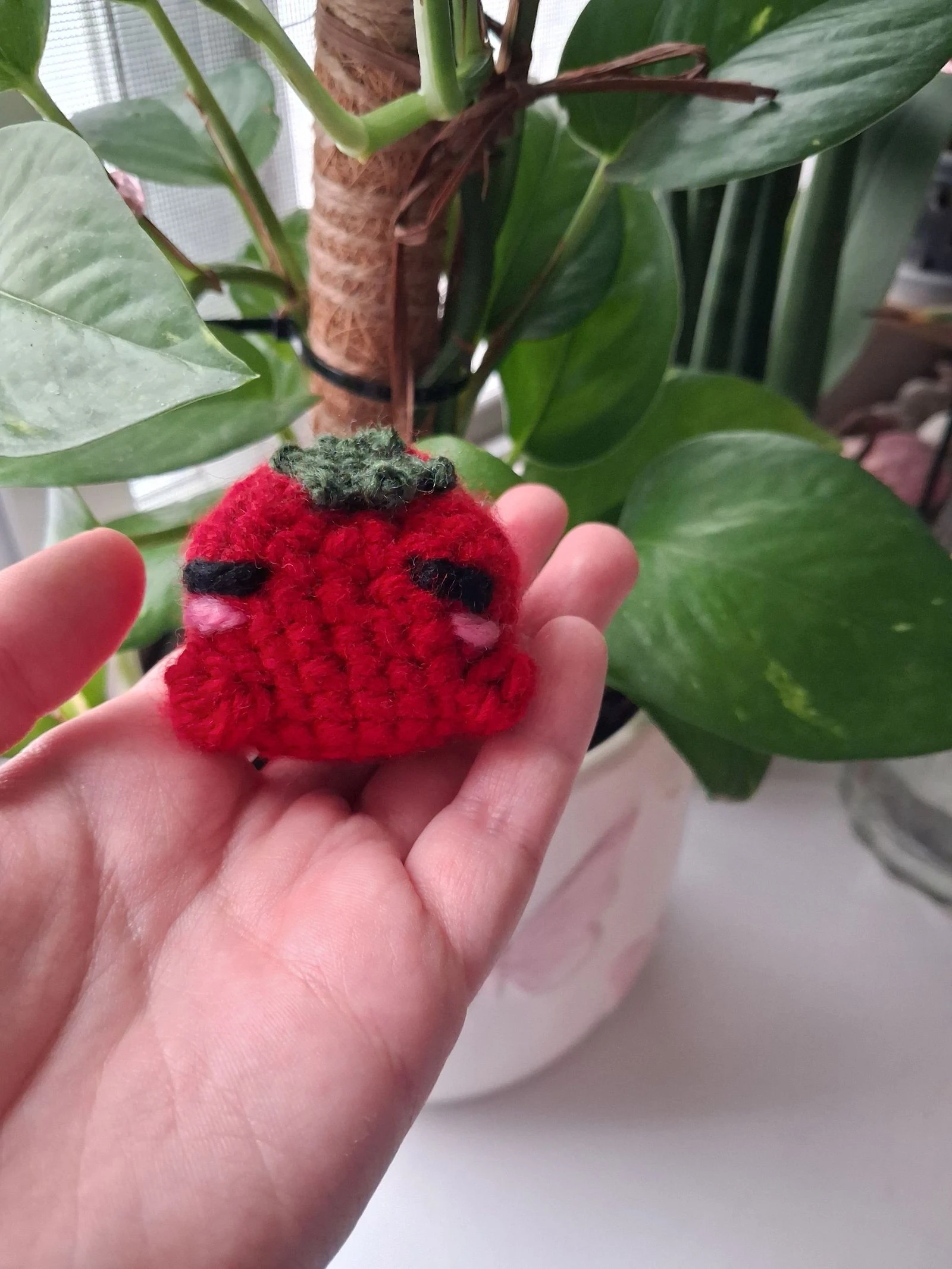 Tomato crochet – photo 2